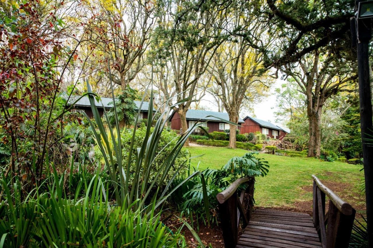 Naro Moru River Lodge Exteriör bild