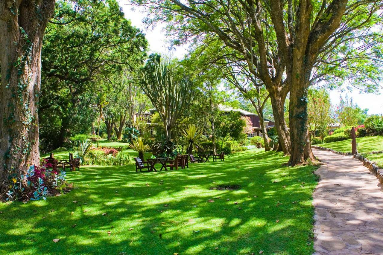 Naro Moru River Lodge Exteriör bild